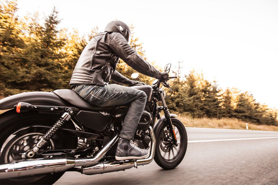 Motorcycle Insurance - Guy Riding Motorcycle Down Pine Lined Road